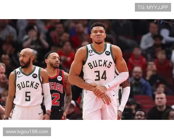 猛龙与雄鹿激战四月十六季后赛精彩对决引发球迷热议