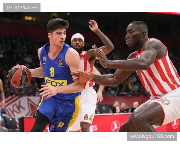 篮球激情对决加拿大队挑战德国队展现顶级竞技风采