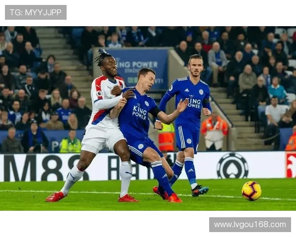 西布朗维奇主场迎战莱切城期待精彩对决与胜利的较量 西布朗维奇主场迎战莱切城期待精彩对决与胜利的较量