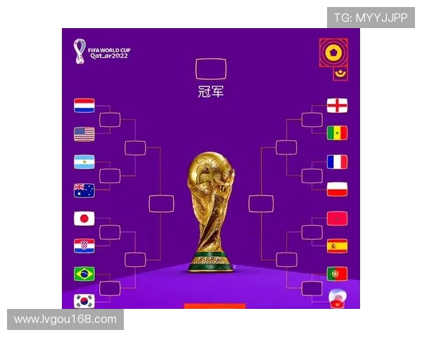 阿根廷与荷兰足球对决阵容分析及战术解析