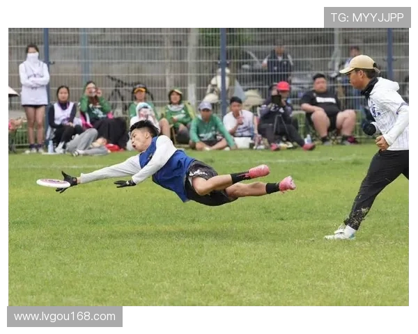 飞盘耐力排行榜：北京飞盘队位居第6名