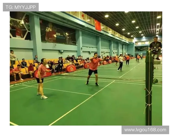 羽毛球传奇王磊的职业生涯回顾与未来展望对话 羽毛球传奇王磊的职业生涯回顾与未来展望对话