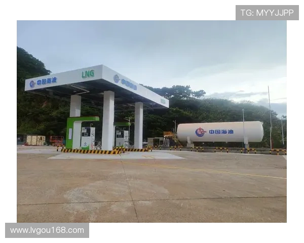 专业分析LNG市场的节奏与策略解析 专业分析LNG市场的节奏与策略解析