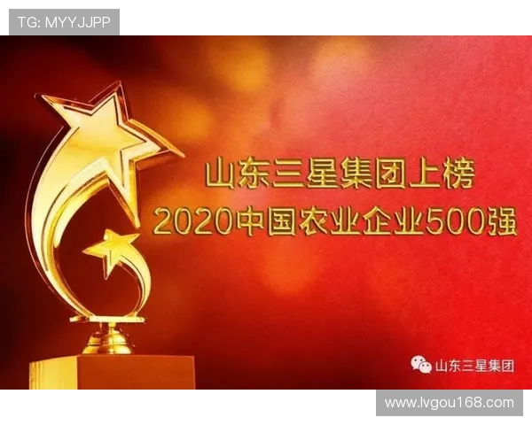 杭州篮球队实力强劲荣登个人能力排行榜第三名